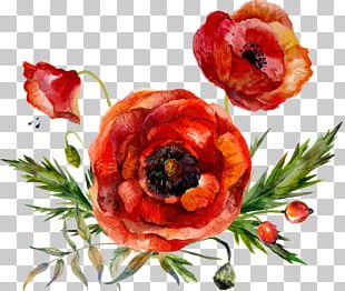 Poppy Flowers Watercolor Painting PNG, Clipart, Artificial Flower ...