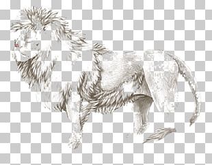 Dog Breed Cat Lion Paw PNG