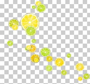 Lemon Orange Slice PNG, Clipart, Auglis, Citric Acid, Citron, Citrus ...