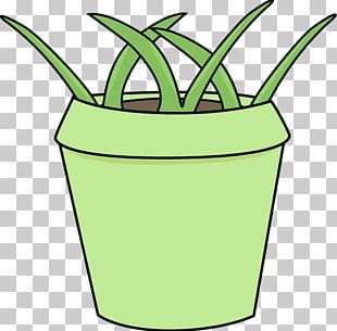 Flowerpot PNG