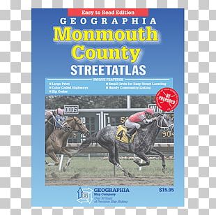 Geographia New York City 5 Borough Streetatlas Passaic County PNG