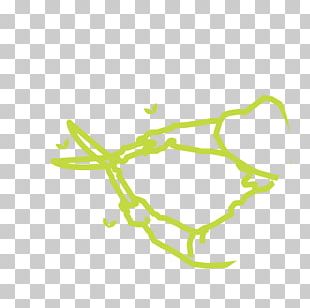 Maintenance Silvergrass Product Design Product Design PNG