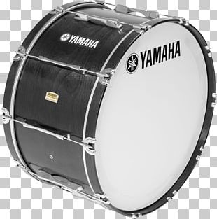 Bass Drum PNG attēli, Bass Drum ClipartBass Drum PNG attēli, Bass Drum Clipart  