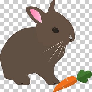 Hare Easter Bunny Rabbit PNG, Clipart, Animal, Animals, Animal ...