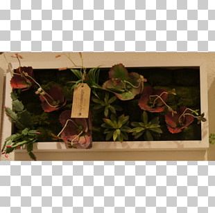 Floral Design Frames Rectangle PNG