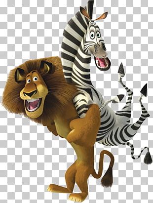 Alex Marty Lion Madagascar PNG, Clipart, Alex, Animals, Big Cats ...