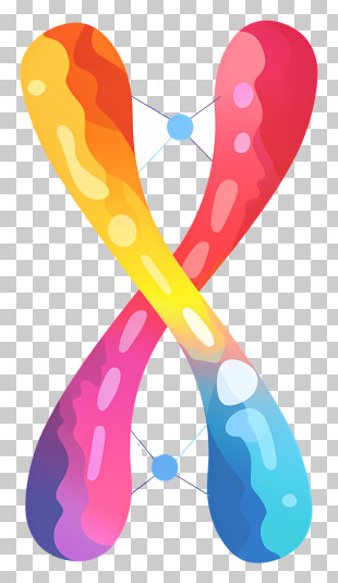 Chromosomal - Colorful Chromosome Illustration PNG