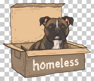 International Homeless Animals Day - Homeless Dog Sitting In A Cardboard Box PNG