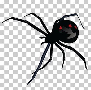 Spider Bite Southern Black Widow Brachypelma Hamorii PNG, Clipart ...