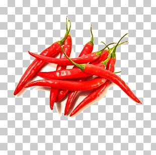 Mirchi Ka Salan Chili Pepper Leaf Vegetable Serrano Pepper PNG, Clipart ...