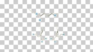 Jewellery Turquoise Clothing Accessories PNG