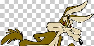 Wile E. Coyote And The Road Runner Looney Tunes Wile Bugs Bunny Png 