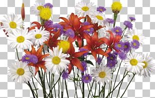 Flower Bouquet Desktop Display Resolution Lilium PNG