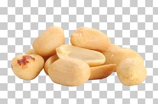 Peanut Raw Foodism Legume PNG
