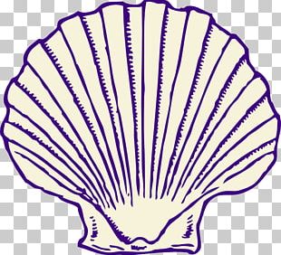 Clam Seashell Free Content PNG