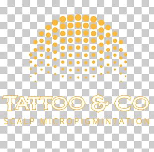 Hair Tattoo Hair Loss Scalp Aesthetics Permanent Makeup PNG