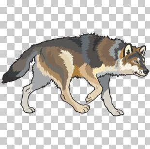 Red Fox Wolf Coyote Arctic Fox Gray Fox PNG, Clipart, Arc, Black And ...