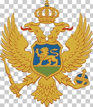 Flag Of Albania Double-headed Eagle Albanian Declaration Of ...