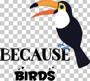Because Birds Bird Animal PNG