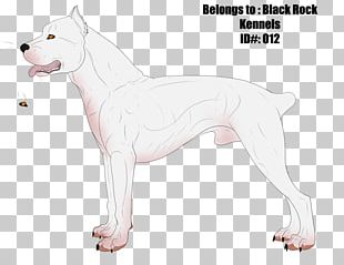 what is the breed of dogo guatemalteco