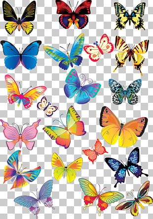 Butterfly Encapsulated PostScript PNG, Clipart, Brush Footed Butterfly ...