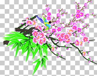 Jixi Suining Youngsville PNG