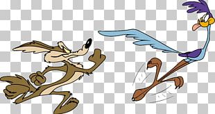 Wile E. Coyote And The Road Runner Looney Tunes Wile Bugs Bunny PNG ...