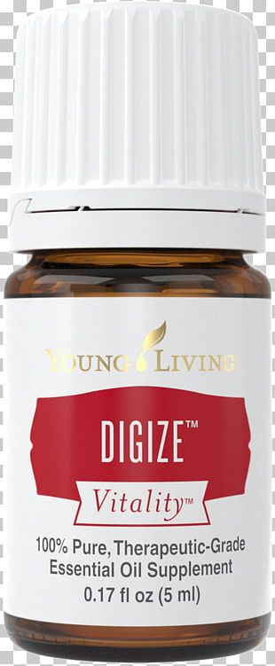 Young Living - White Young Living Logo Transparent PNG - 648x252 - Free  Download on NicePNG