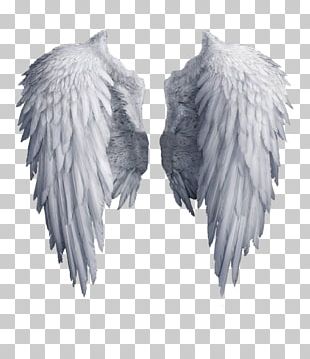 angel wings png clipart preschool