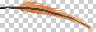 Feather Watercolor Painting PNG