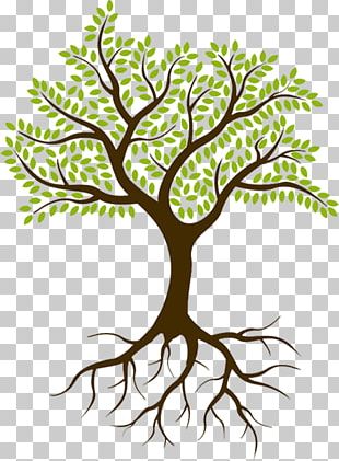 Genealogy Book Family Tree PNG, Clipart, Adobe Illustrator, Autumn Tree ...