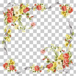 Frame Flower Photography Paper PNG