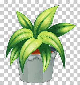 free clipart potted plants