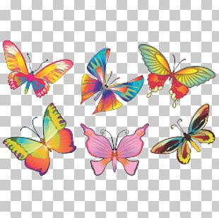 Butterfly Drawing Wedding Png, Clipart, Brooch, Butterflies And Moths 