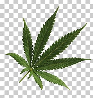 Blunt Joint Cannabis Smoking Hand Png, Clipart, Arm, Art, Black, Black 