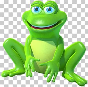 True Frog Tree Frog Png, Clipart, Adobe Illustrator, Amphibian, Animals 