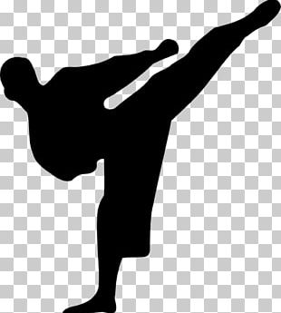 Silhouette Karate Martial Arts PNG, Clipart, Black, Black And White ...