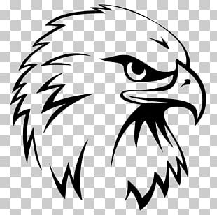Bald Eagle Black-and-white Hawk-eagle Drawing PNG, Clipart, Art ...