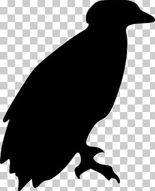 Bald Eagle PNG