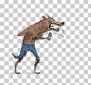Cartoon Werewolf Illustration PNG