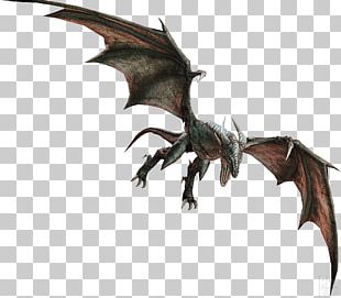 Divinity II Xbox 360 Dragon Wyvern Video Game PNG