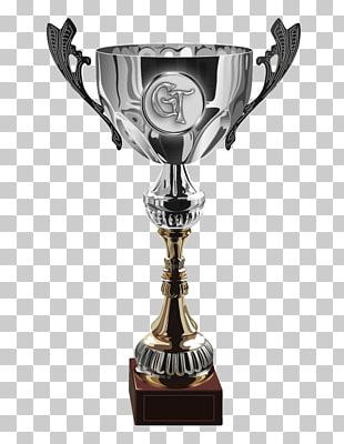 Realistic cricket world cup trophy on plain Vector Image