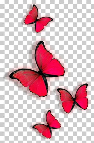 Butterfly Heart PNG, Clipart, Area, Border, Border Frame, Border Vector ...