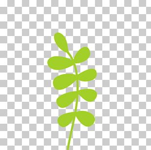 Leaf Green PNG