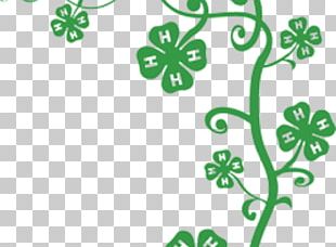 4-H Four-leaf Clover Cattle PNG