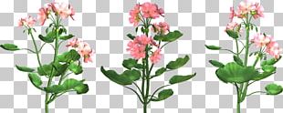Cut Flowers Drawing PNG