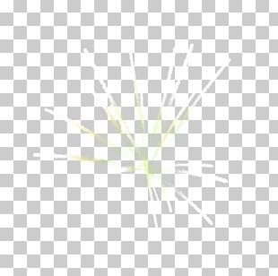 Euclidean Creativity PNG