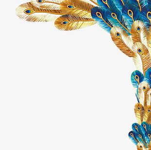 Peacock Feather PNG