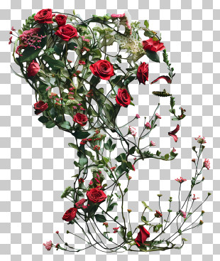 Womens Day Flower Art - Floral Silhouette With Red Roses PNG
