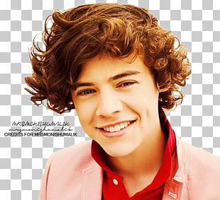 Harry Styles: Live On Tour Holmes Chapel The X Factor One Direction Singer-songwriter PNG